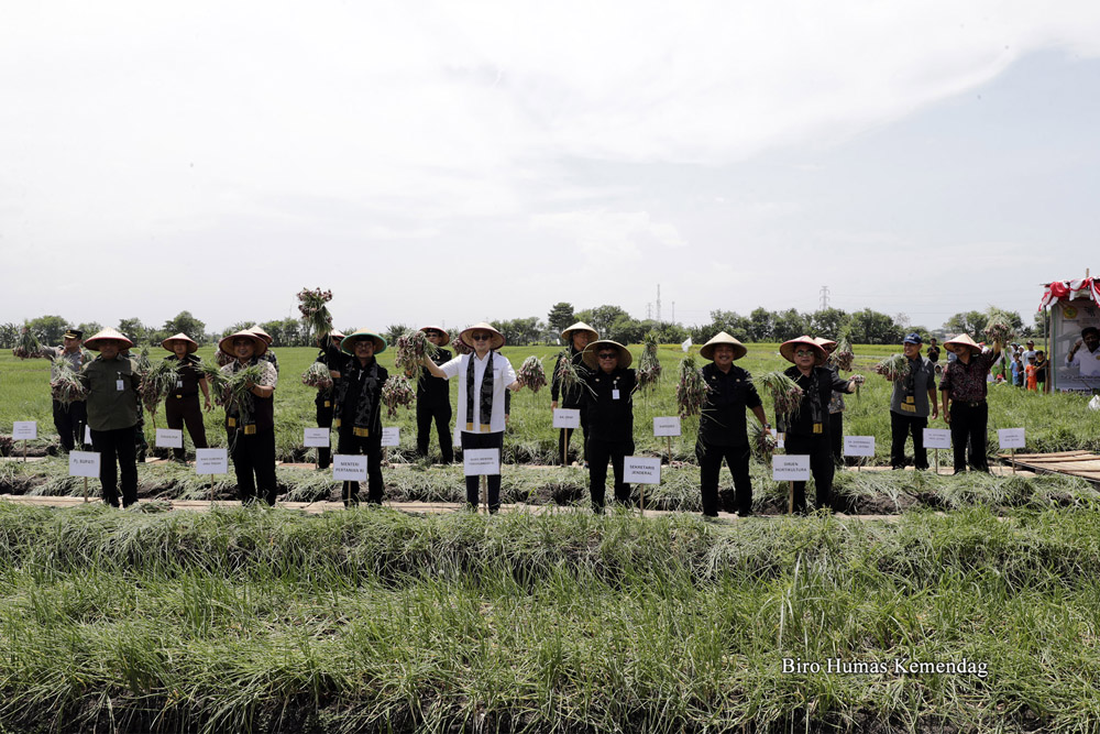 wamendag tegal